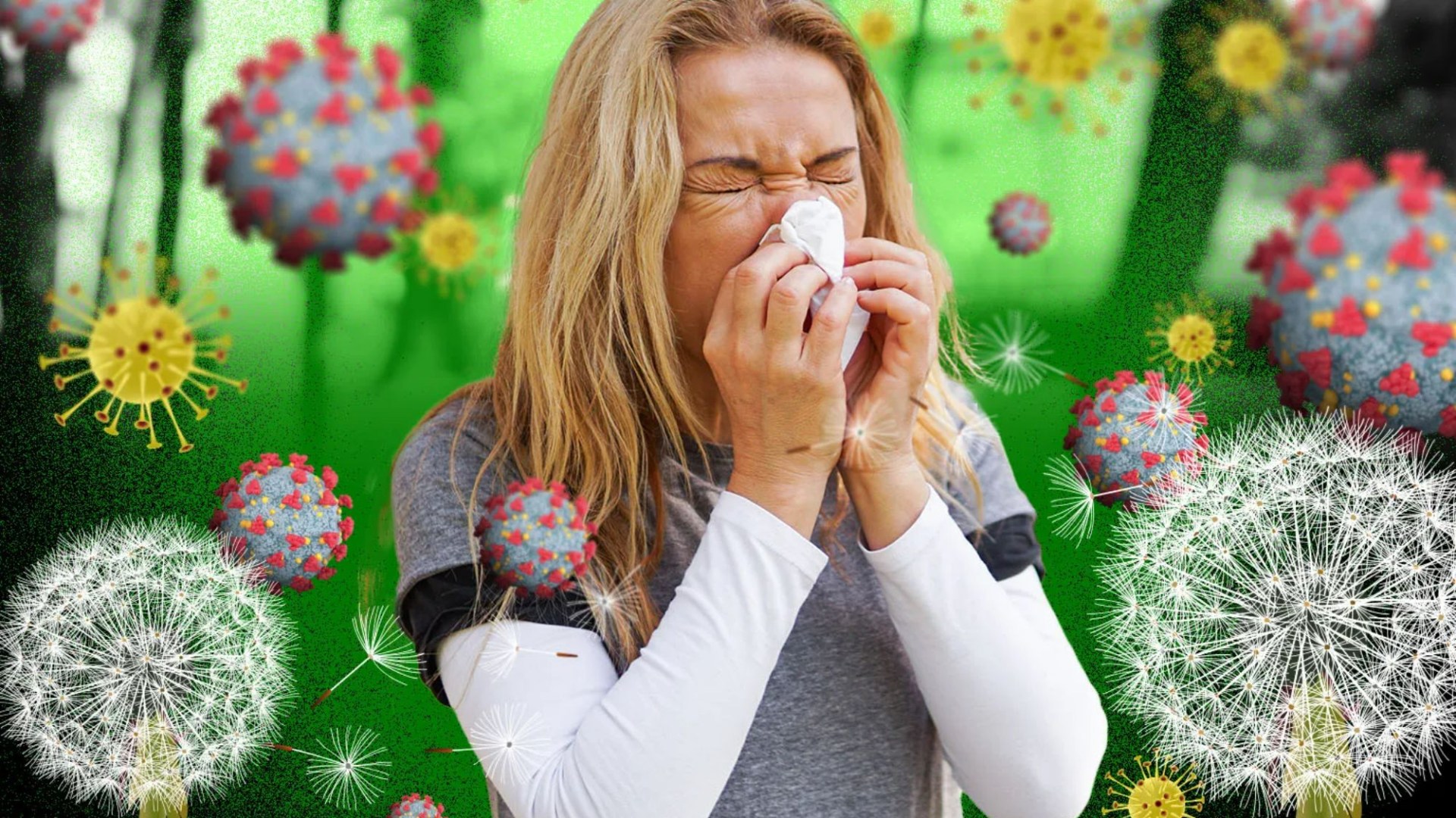 ¿Tiene fiebre del heno, Covid o un resfriado primaveral?  Pistas clave reveladas cuando cae una bomba de polen